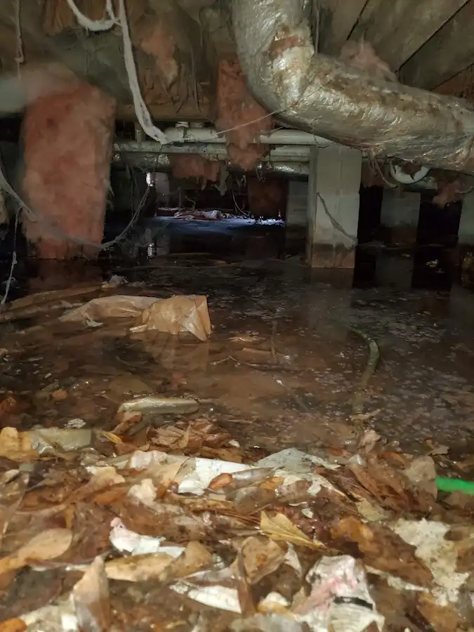 Crawl space flood assessment for Leak Detection & Repair in Pickerington